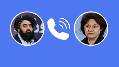 رایزنی متقی و دی‌کارلو؛ بر گسترش همکاری ها تأکید شد