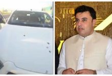 کارآفرین افغانستانی در پاکستان کشته شد