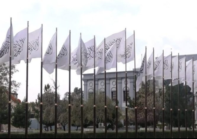 طالبان حمله انصارالله به نفتکش سعودی در باب‌المندب را محکوم کرد