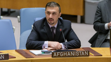 نمایندگی افغانستان در سازمان: بر ایجاد نظامی مشروع و مبتنی بر اراده مردم افغانستان تأکید میکنیم