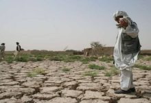 کاهش محصولات کشاورزی شمال افغانستان بر اثر تغییرات اقلیمی