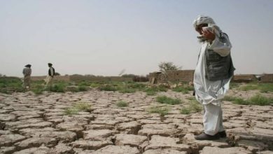 کاهش محصولات کشاورزی شمال افغانستان بر اثر تغییرات اقلیمی