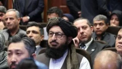 افغانستان و ایران خواستار تقویت همکاریها در مبارزه با موادمخدر شدند