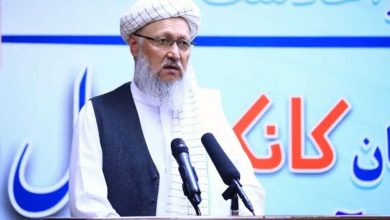 حنفی: آموزش رایگان در افغانستان از بودجه حکومت طالبان تأمین می‌شود