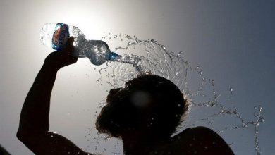 موج گرمای بی‌سابقه در اروپا بیش از ۱۰ هزار قربانی گرفت