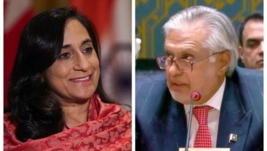 هفته پرتحرک دیپلماسی پاکستان؛ میزبانی از وزیر کانادا و حضور در نشستهای منطقهای