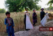 بررسی وضعیت کودکان کار در افغانستان؛ آمارها، علل و راهکارها