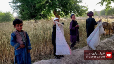 بررسی وضعیت کودکان کار در افغانستان؛ آمارها، علل و راهکارها