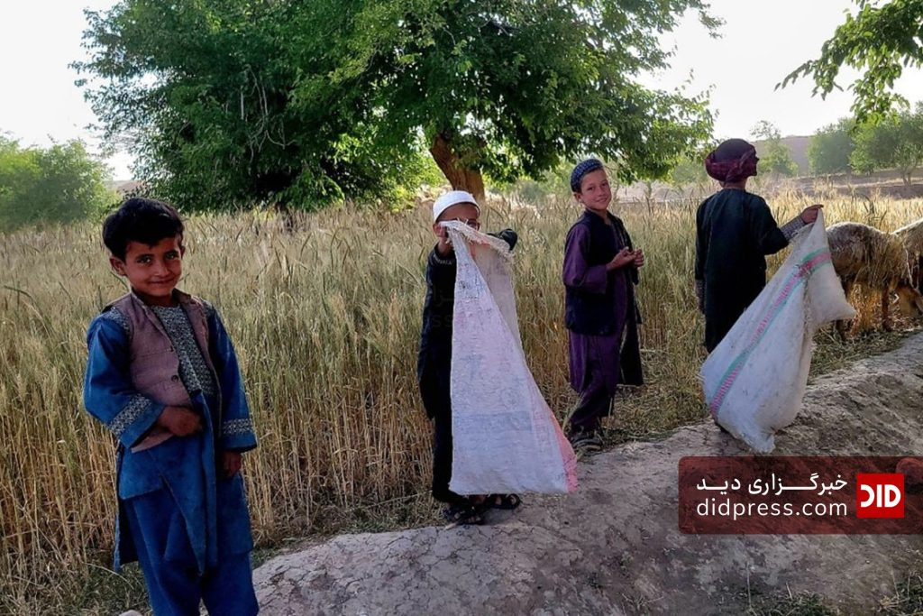بررسی وضعیت کودکان کار در افغانستان؛ آمارها، علل و راهکارها