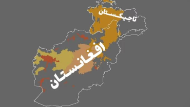 طالبان: تیراندازی مرگبار در مرز تاجیکستان کار خرابکاران بود