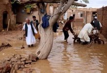 احتمال بارندگی و سیلاب؛ هشدار برای هفت ولایت صادر شد