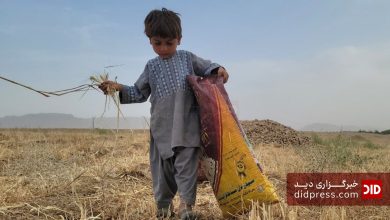 کودکان نیمروز؛ قربانیان اعتیاد پدران و کارهای سخت