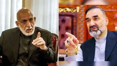 نور: طالبان مورد حمایت کرزی بود