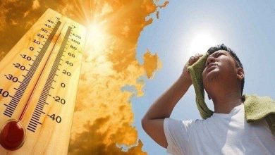 موج گرما در اروپا هزاران قربانی گرفت