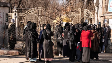 اعلام بورسیه کارشناسی ارشد جنوا برای زنان افغان در سال تحصیلی ۲۰۲۷–۲۰۲۸