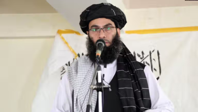 خالد‌حنفی: همه شهروندان افغانستان یک ملت هستند