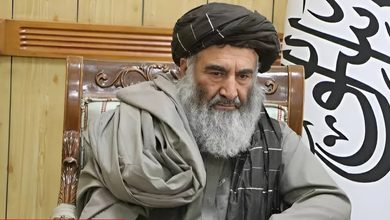 طالبان ادعای نشست جنگجویان خارجی در قندهار را رد کرد