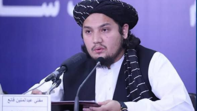 طالبان گزارش سازمان‌ملل درباره افزایش کشت مواد‌مخدر را رد کرد