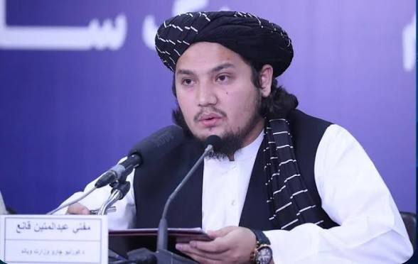 طالبان گزارش سازمان‌ملل درباره افزایش کشت مواد‌مخدر را رد کرد