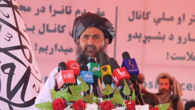 ملا برادر: افغانستان باید از کشور مصرفکننده به کشور تولیدکننده تبدیل شود