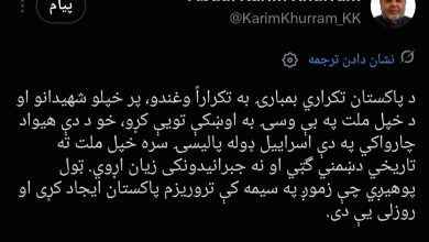 کریم‌خرم: پاکستان با سیاستی شبیه اسرائیل برای خود دشمنی تاریخی می‌خرد