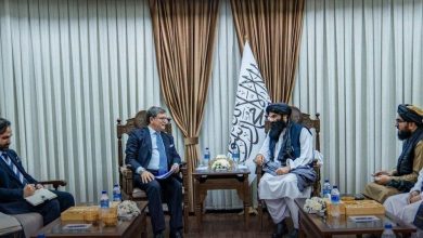 حقانی و کاردار اتحادیه اروپا بر گسترش همکاریها تأکید کردند