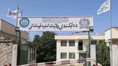 بازداشت ۱۹۶ تن به ظن قاچاق و خریدوفروش مواد مخدر در دایکندی
