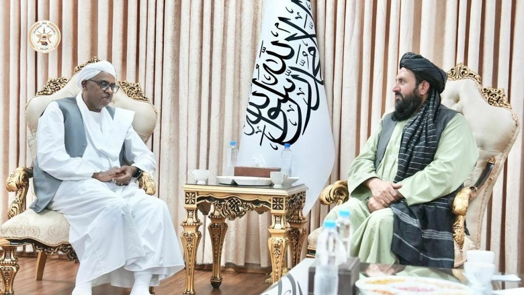 سازمان همکاری‌اسلامی: فرصت‌های تحصیلی و آموزشی برای دختران افغانستان ضروری است